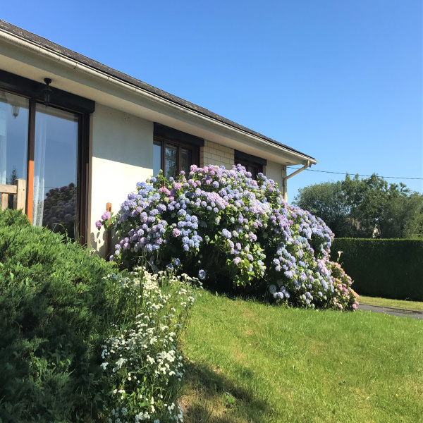 Offres de vente Maison Annebault 14430